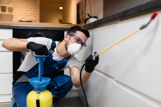 Reliable Glens Falls North, NY Pest Control Solutions