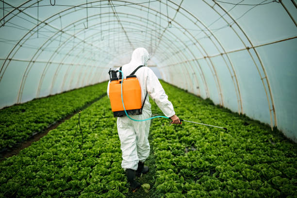 Best Pest Inspection Near Me  in Glens Falls North, NY