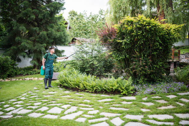 Best Pest Removal Services  in Glens Falls North, NY