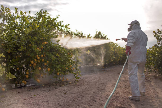 Best Residential Pest Control  in Glens Falls North, NY