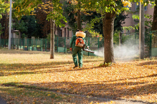 Best Emergency Pest Control  in Glens Falls North, NY