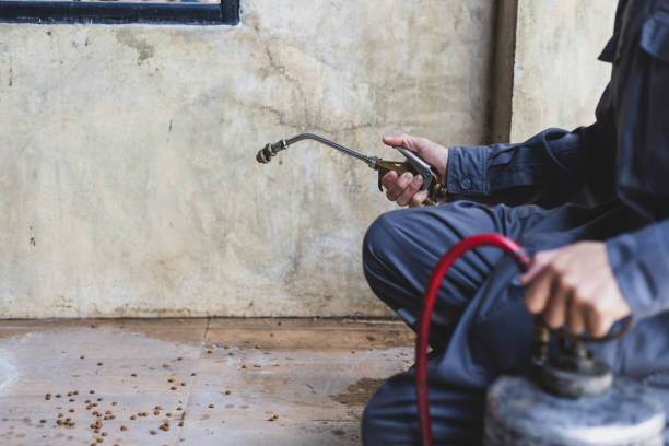 Best Affordable Pest Control Services  in Glens Falls North, NY